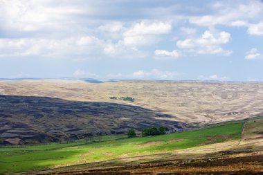 Orada, northumberland, İngiltere
