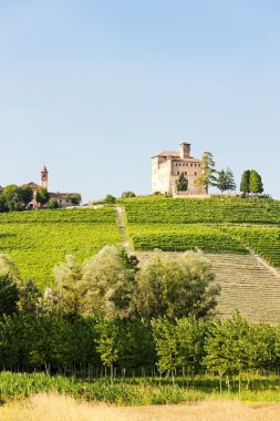 rinzane cavour Kalesi ile bağ, piedmont, İtalya