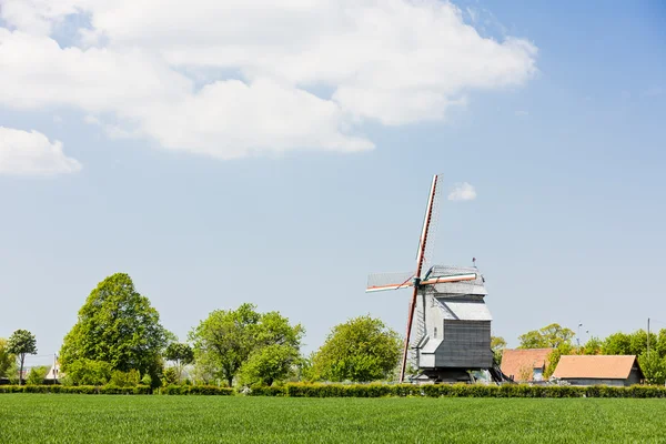 Windmühle bei Wormhout, nord-pas-de-calais, Frankreich — Stockfoto