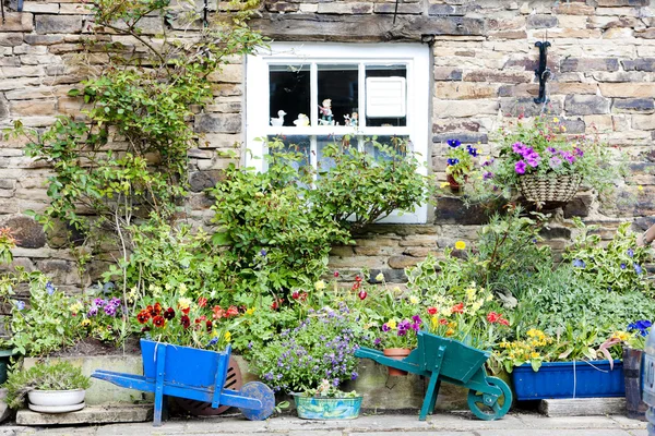 Huis met planten in blanchland, northumberland, Engeland — Stockfoto