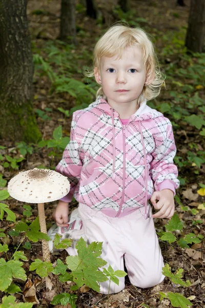 Stock image Mushroom picking little girl in forest