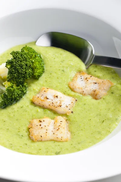 Broccoli soep met makreel — Stockfoto