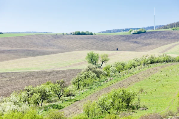 Paesaggio vicino a Kuzelov, Repubblica Ceca — Foto Stock