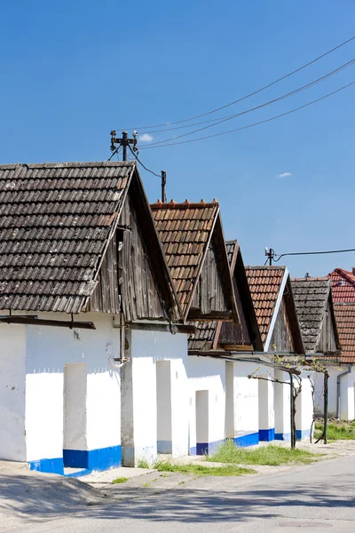 Borospincék, blatnice pod svatym antoninkem, Cseh Köztársaság — Stock Fotó