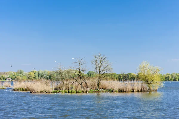 Jarohnevicky pond, Dubnany, République tchèque — Photo