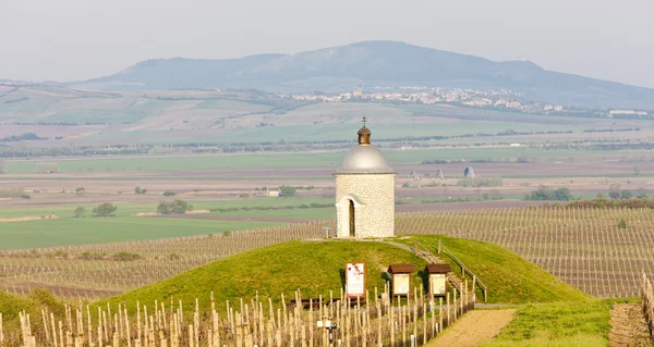 Capela com vinha perto de Velke Bilovice, República Checa — Fotografia de Stock