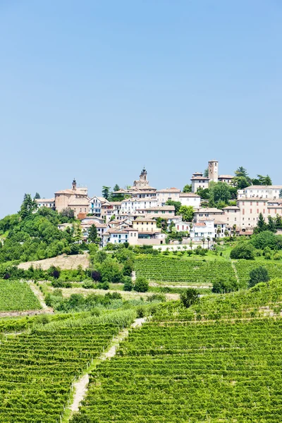 Nemonige vingårder, Piemonte, Italia – stockfoto