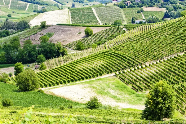 Vineyars i asti regionen, Piemonte, Italien — Stockfoto