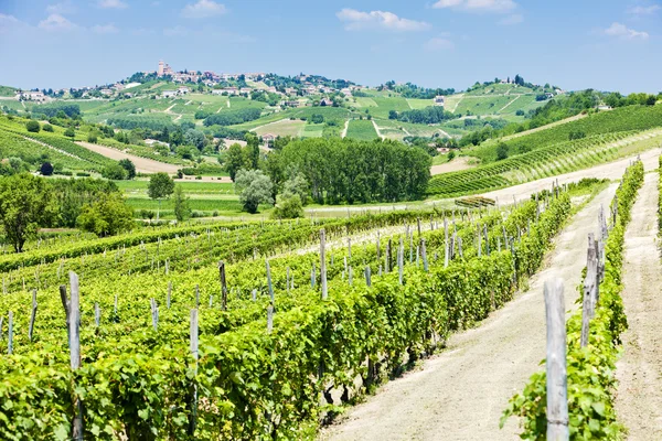 Vineyars v oblasti asti, Piemont, Itálie — Stock fotografie