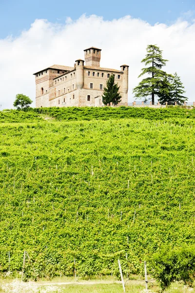 stock image Grinzane Cavour Castle with vineyard, Piedmont, Italy