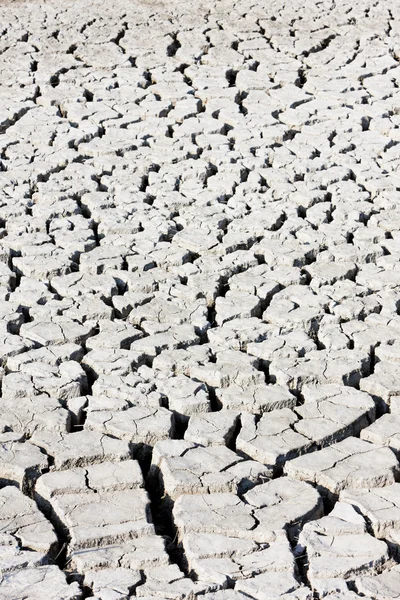 Dry soil, Parc Regional de Camargue, Provence, France — Stock Photo, Image