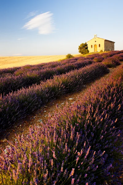 Kapell med lavendel fält, platå de valensole, provence, fran — Stockfoto