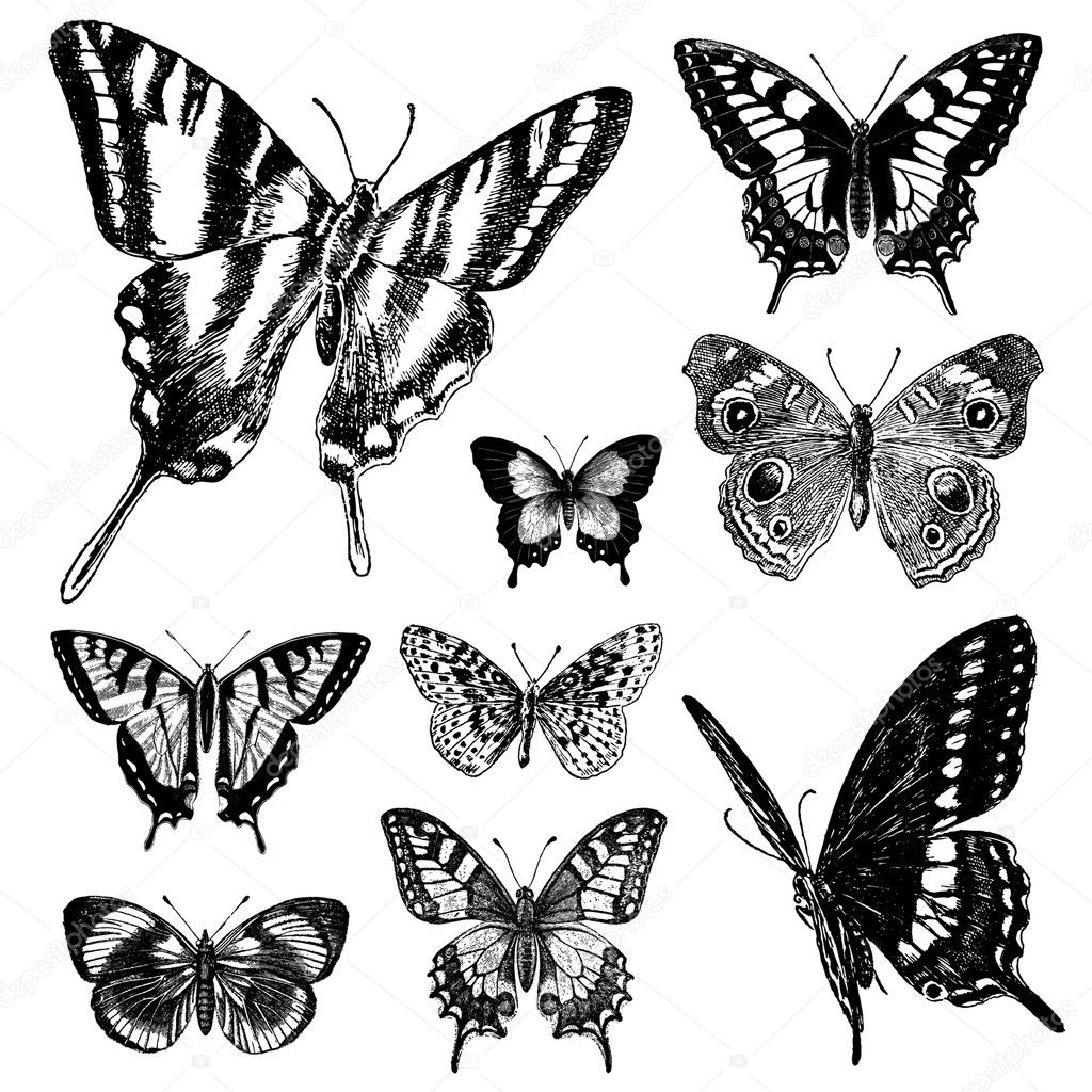 Vector Vintage Butterfly Set 1