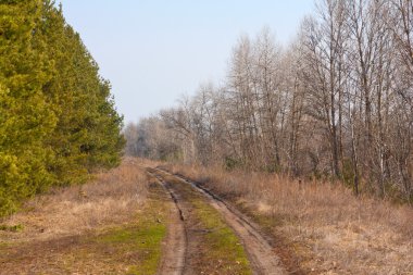 kırsal yol