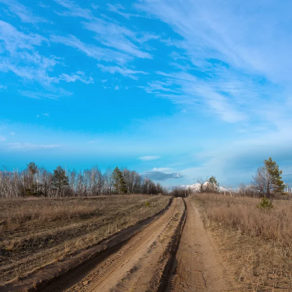 草原の田舎道 — ストック写真