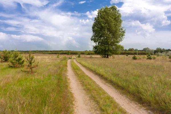 Rural road in steppe — Stock Photo, Image