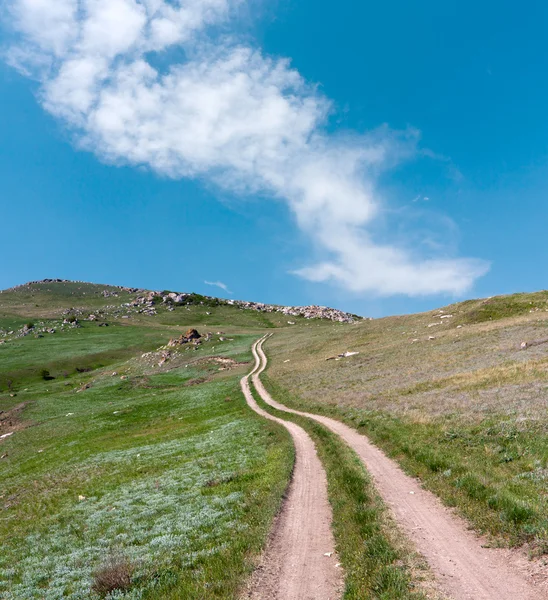 Camino en colina verde —  Fotos de Stock