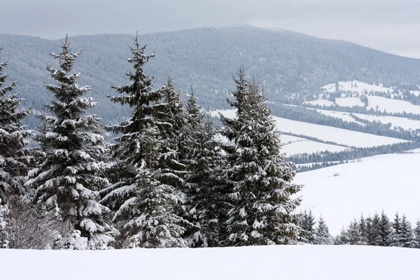 冬季场景在山中 — 图库照片