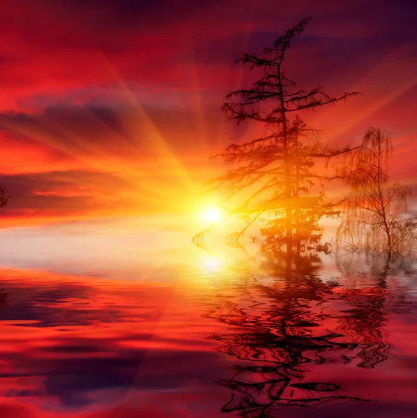Гарячий захід сонця над озером — стокове фото