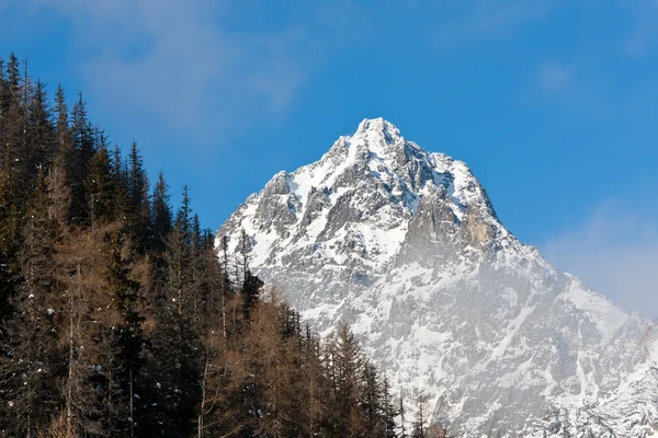 Rock ile dağ sahne — Stok fotoğraf