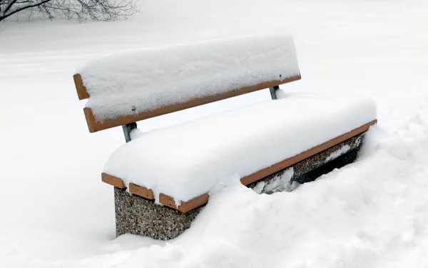 冬公園のベンチ — ストック写真