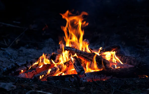 Vlam van kampvuur — Stockfoto