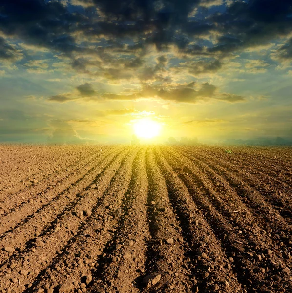 Розорана поле захід сонця — стокове фото
