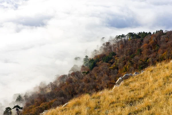 Осенняя сцена в горах — стоковое фото