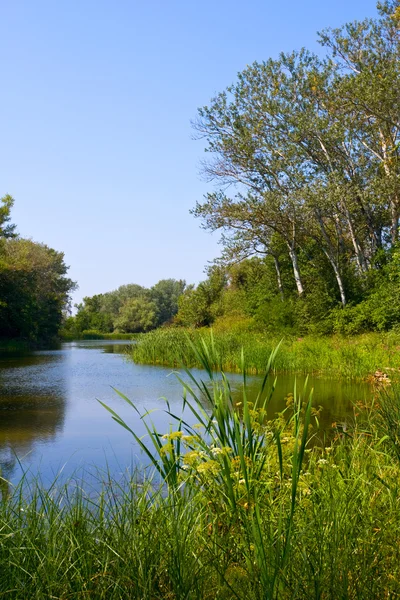 Scena estiva sul lago — Foto Stock