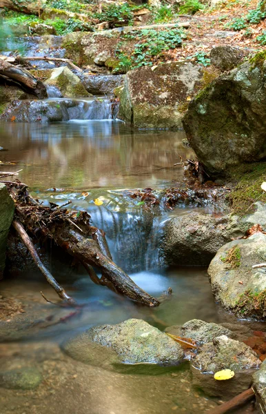 Mountain brook — Stock Photo, Image