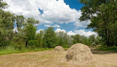 haystacks ile orman çayır