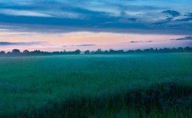 Eraly morning in steppe clipart