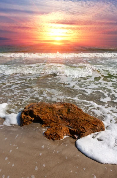 Летняя сцена на море — стоковое фото