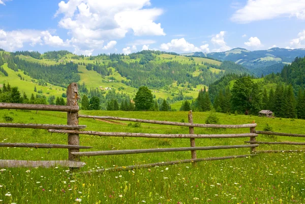 Wooden fence on meadow — Stock Photo, Image
