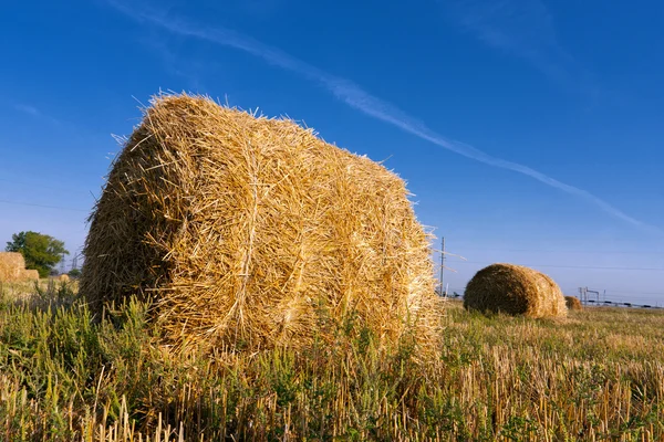Haystack on meadow — Stock Photo, Image