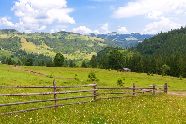 Meadow in mountains — Stock Photo, Image