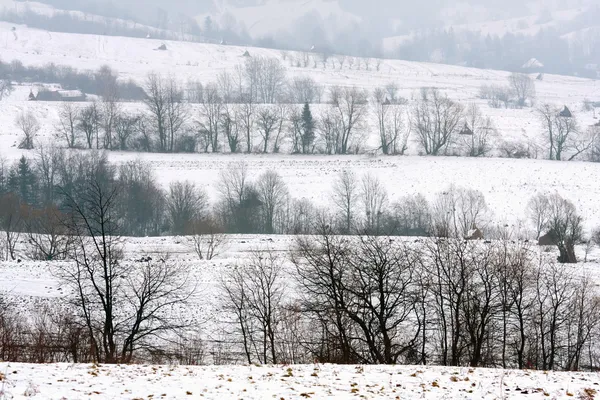 Зимние поля — стоковое фото