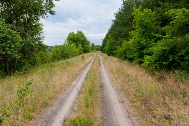 Forest Road