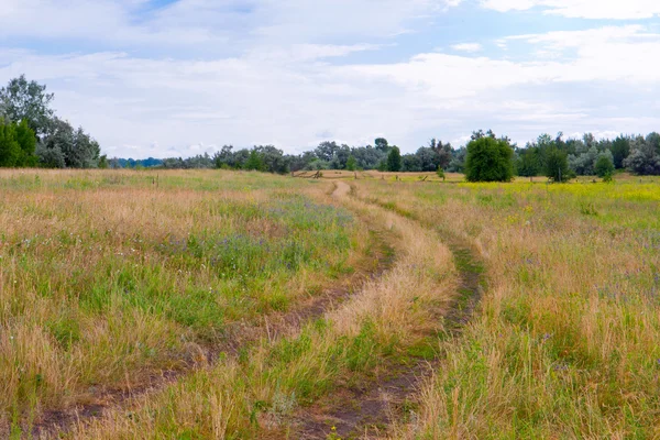 草原の田舎の道 — ストック写真