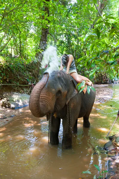 Слон брызгает воду женщине — стоковое фото