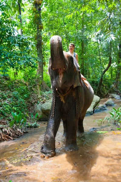Mujer montando sobre un elefante — Foto de Stock