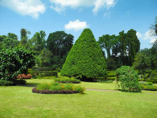 Krajina botanická zahrada Peradeniya — Stock fotografie