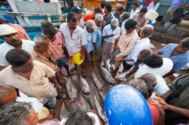 Fish market mirissa