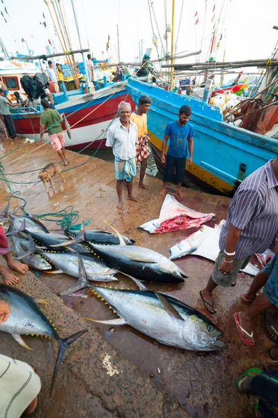 Fish market in Mirissa — Stock Photo, Image