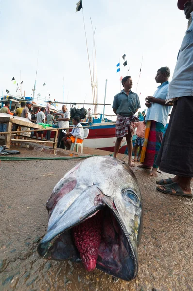 Fischmarkt in Mirissa — Stockfoto