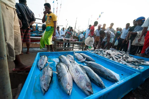 Mercato del pesce a Mirissa — Foto Stock