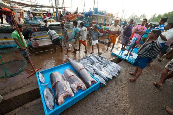 Mercado de peixe em Mirissa — Fotografia de Stock