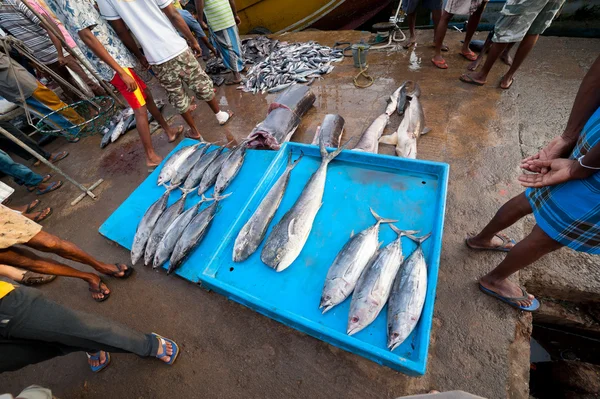 물고기 시장 — 스톡 사진