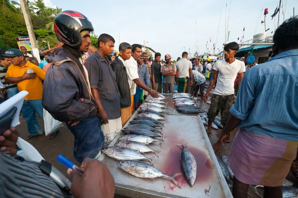 Marché aux poissons à Mirissa — Photo