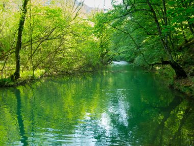 Dağ nehri